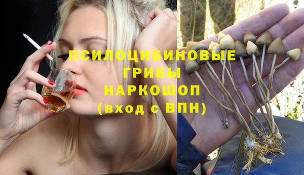 винт Бронницы