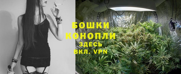 винт Бронницы