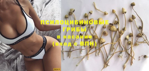 винт Бронницы